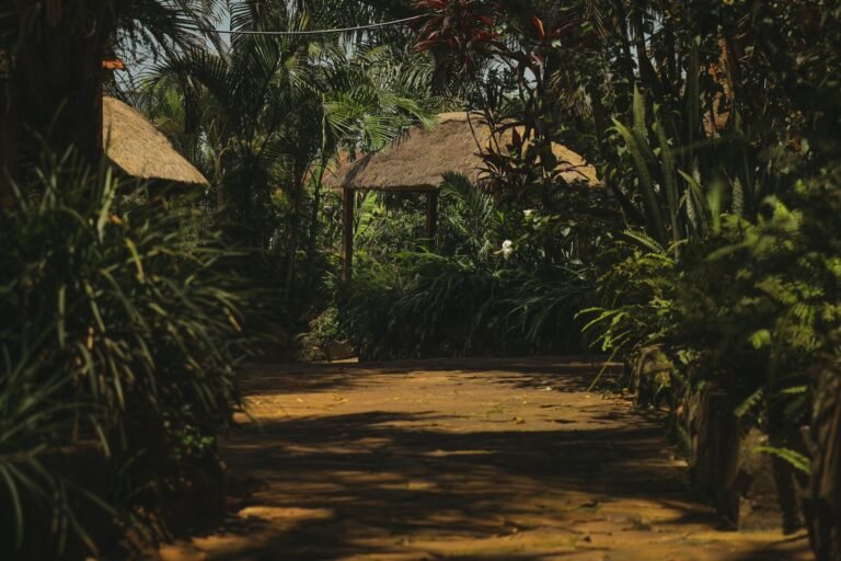 Surjios Guesthouse photo 3